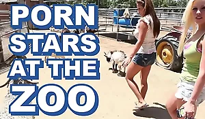 BANGBROS - X-rated Adult movie stars Invade Telling Zoo and xxx  Dear one Zookeeper